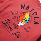 Reyn Spooner WAIOLA SHAVE ICE GRAPHIC TEE in BRICK